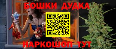Альфа ПВП Дубна