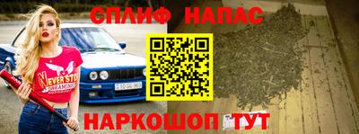 Альфа ПВП Дубна