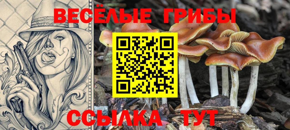 Каннабис  МЕТАМФЕТАМИН  MDMA  КОКАИН  ЭКСТАЗИ  Минеральные Воды  Гашиш  Меф   Вход с VPN 