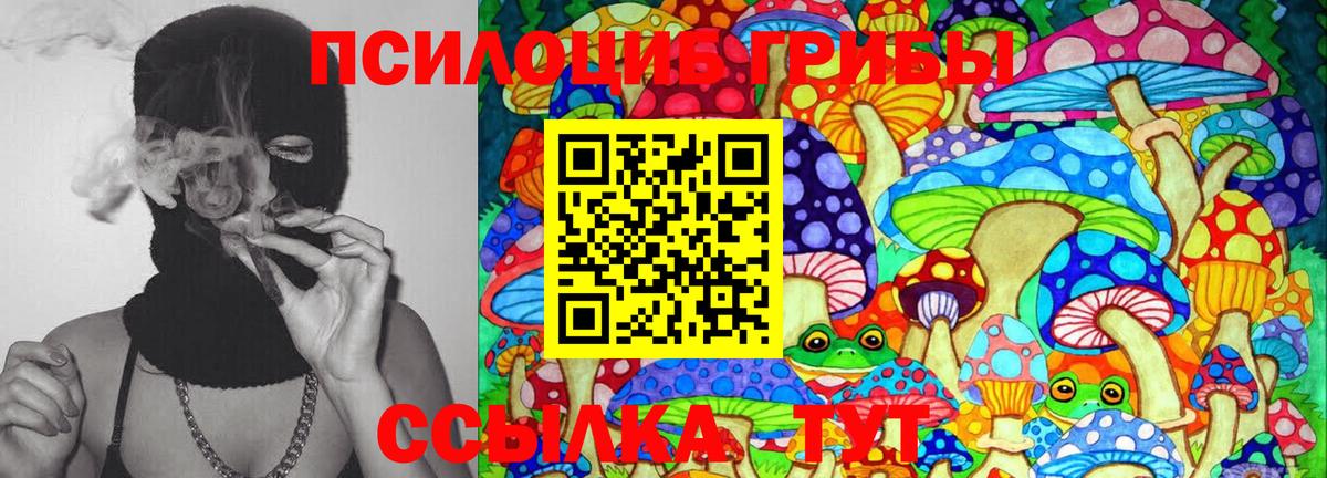 Псилоцибиновые грибы MAGIC MUSHROOMS Минеральные Воды